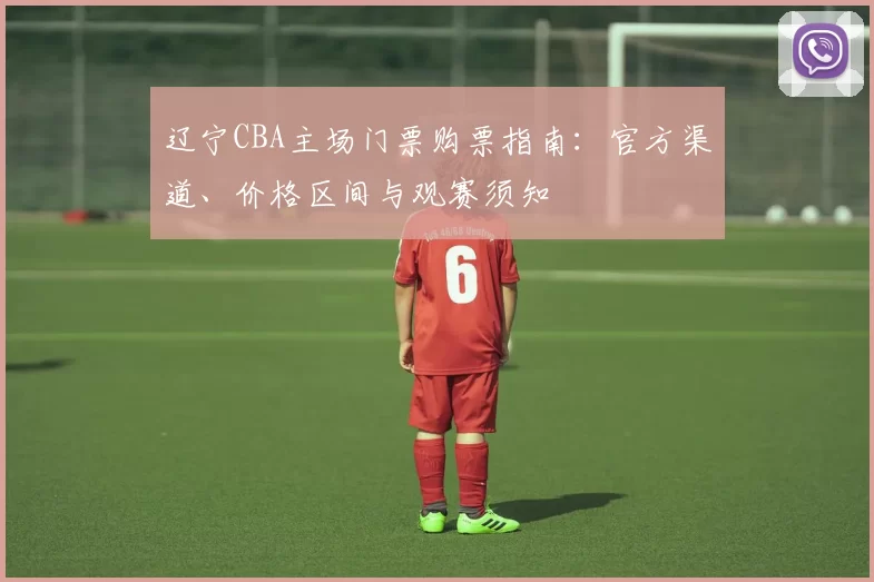 辽宁CBA主场门票购票指南：官方渠道、价格区间与观赛须知